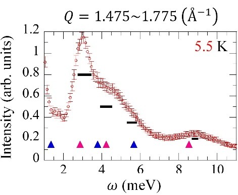 Machine learning evaluated magnetic excitations